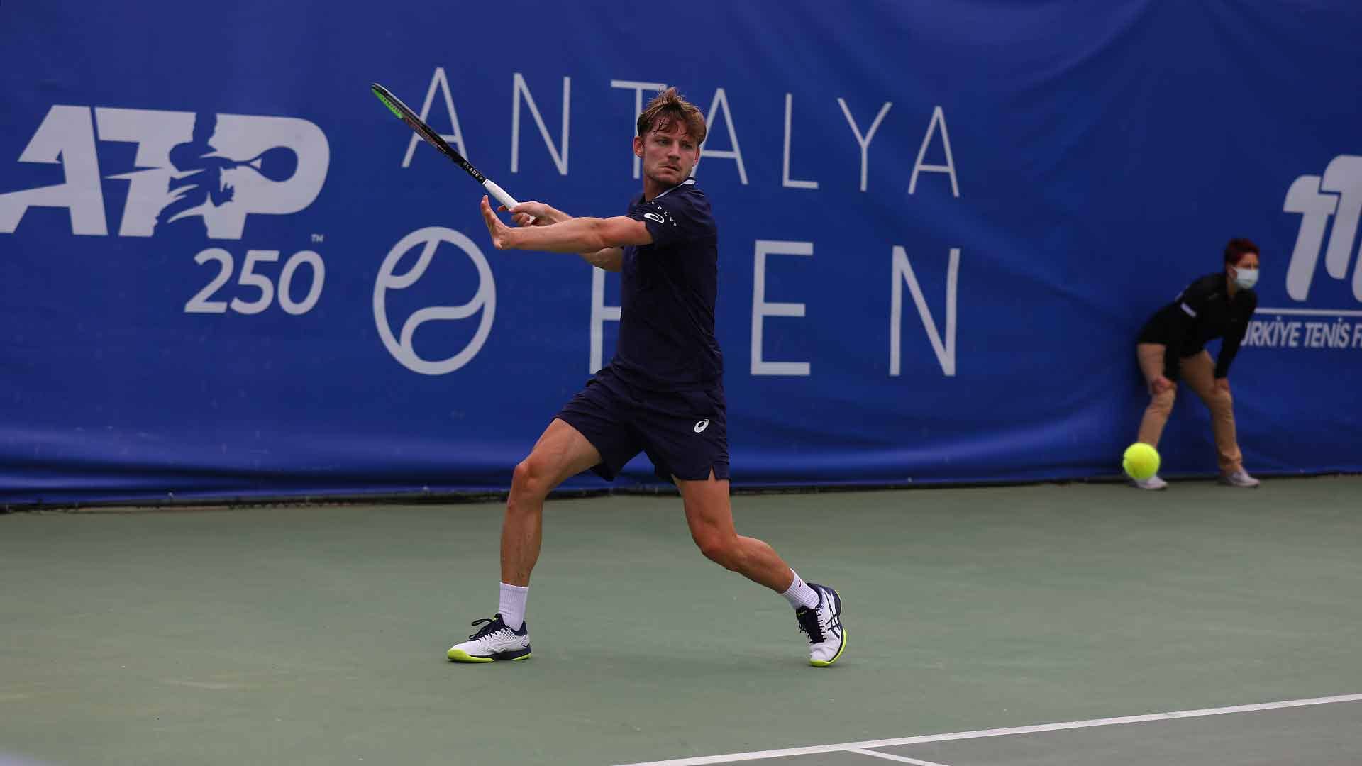 Goffin