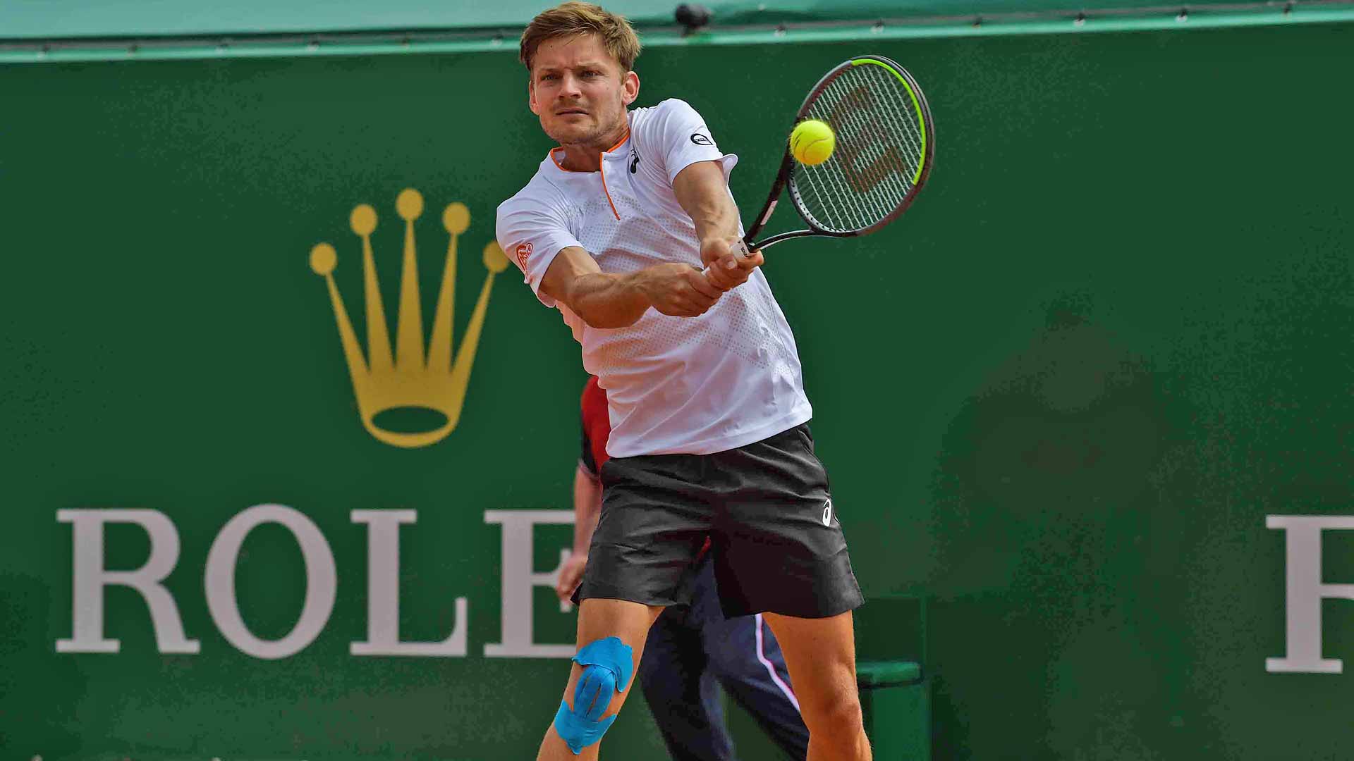 <a href='https://www.atptour.com/en/players/david-goffin/gb88/overview'>David Goffin</a>