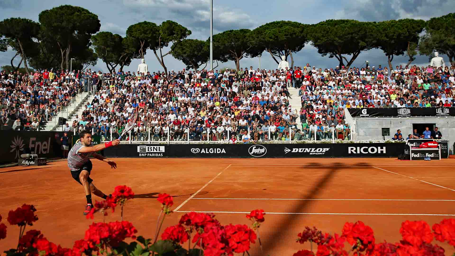 <a href='https://www.atptour.com/en/players/grigor-dimitrov/d875/overview'>Grigor Dimitrov</a>