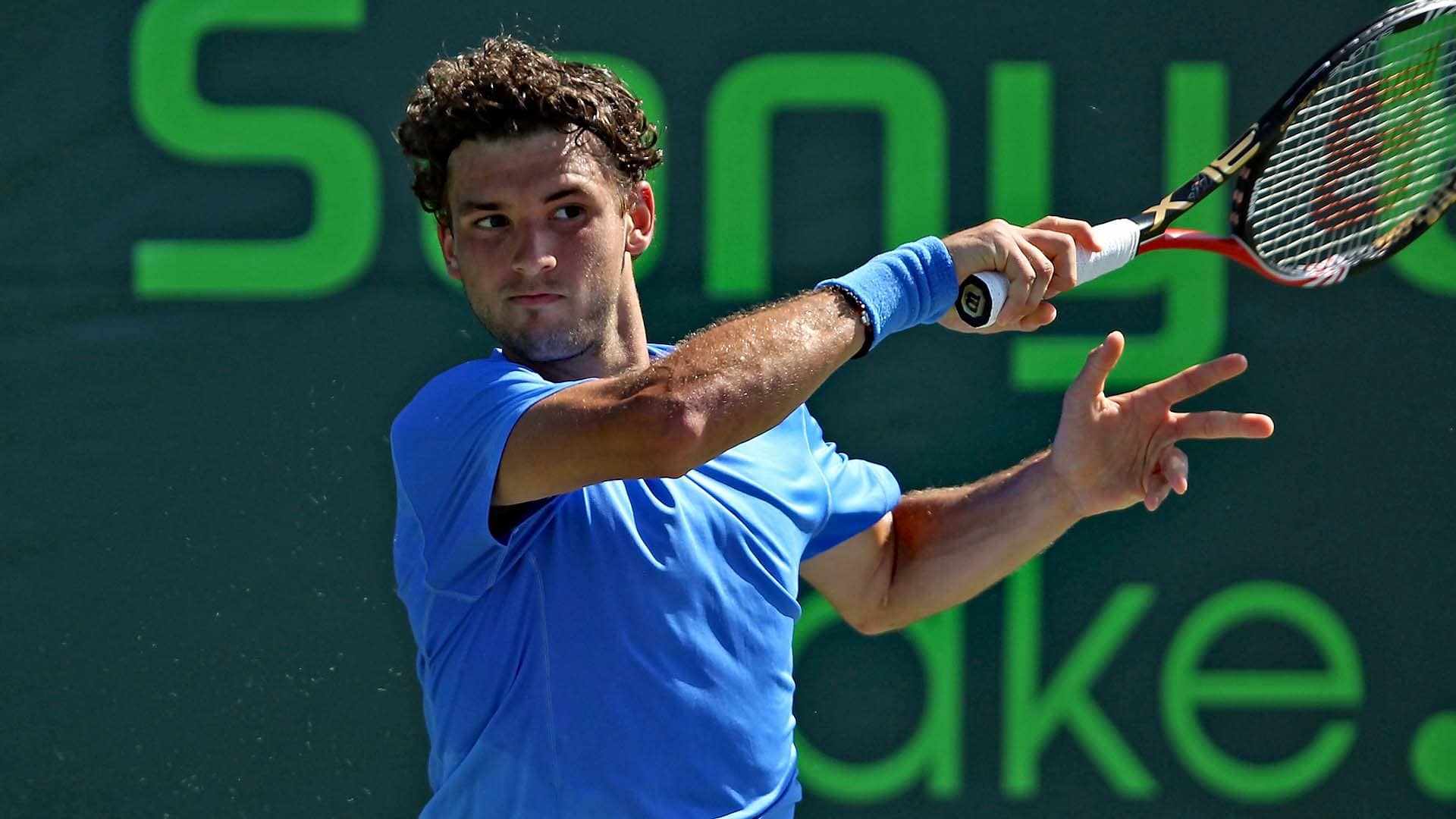 <a href='https://www.atptour.com/en/players/grigor-dimitrov/d875/overview'>Grigor Dimitrov</a>