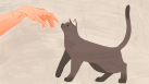 How to Win Over Someone Else’s Cat