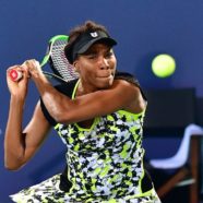 Nightmare draw for Venus and Azarenka in Auckland