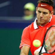 World No 5 Del Potro to miss Australian Open
