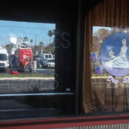 What Was Really Going On At Orchids Of Asia?