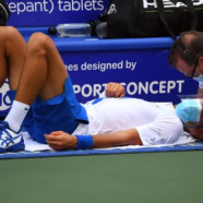 Novak Djokovic to play Milos Raonic in Western and Southern Open final