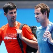 Andy Murray to practise with Novak Djokovic in Rome before return